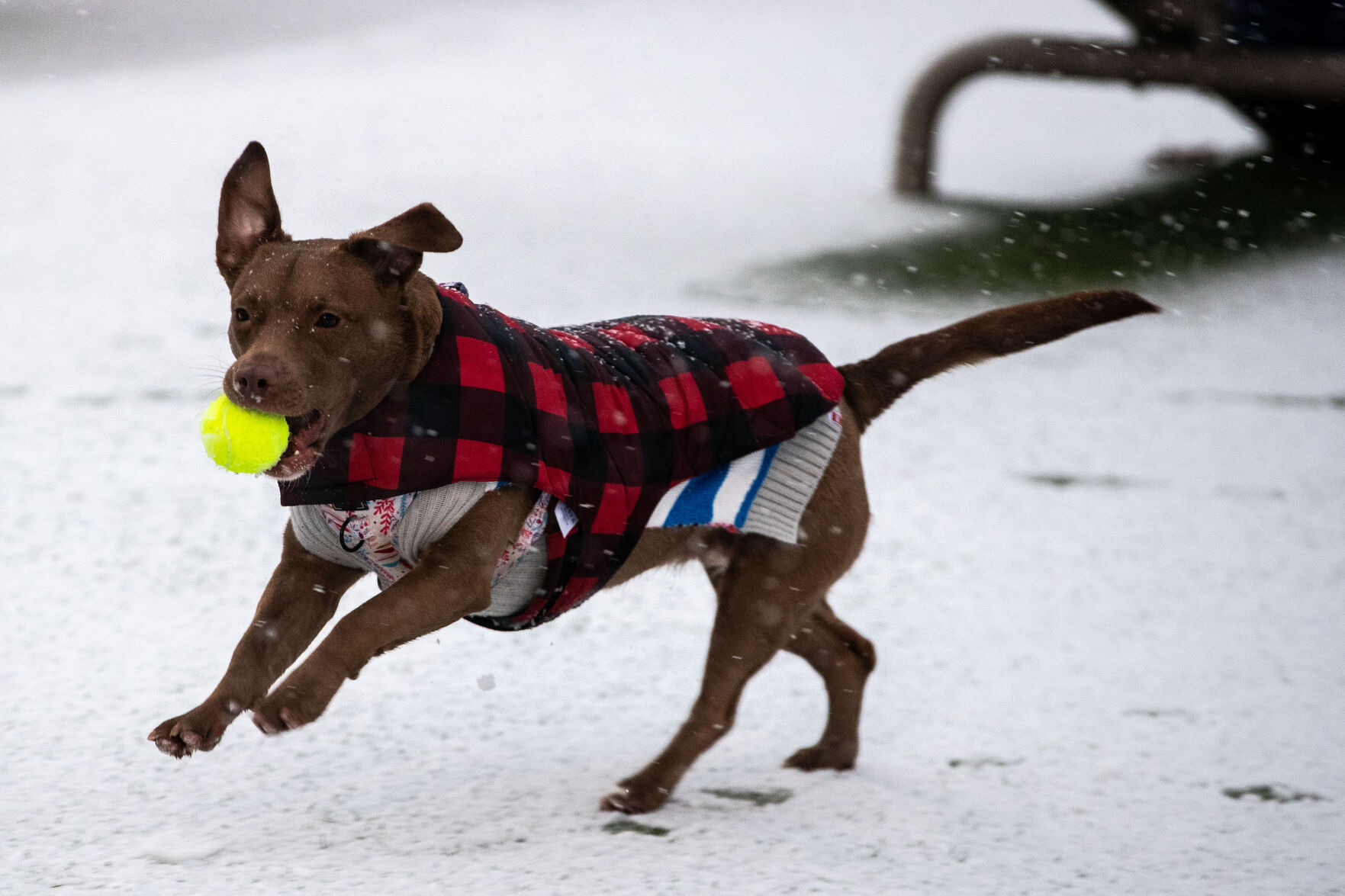 011521-owh-new-snow-LS06.jpg